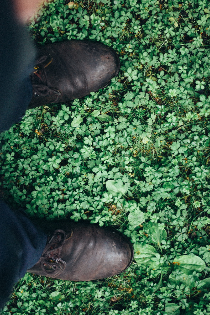 nature, relaxation, one Person, outdoors, first, grass, green color, person, green grass, animal wildlife, dress shoes, high angle view, s, pets, seen