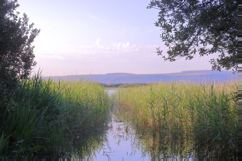 nature, reflection, swamp, lifestyle, tree, day, growth, tranquil scene, First-Person, relaxation, scenics - nature, non-urban scene, landscape, cloud - sky