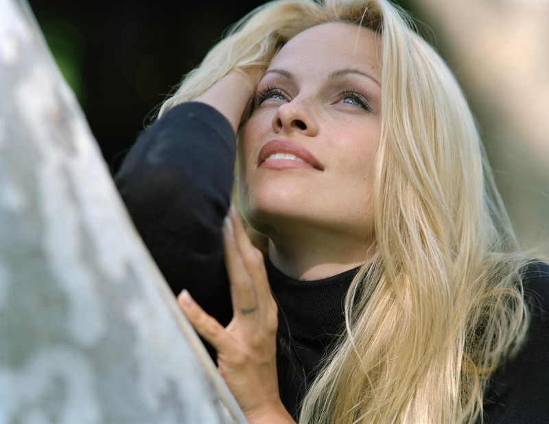 anderson, blonde, sexy, babe, 2K, pamela, mood, actress, woman, girl, women, model