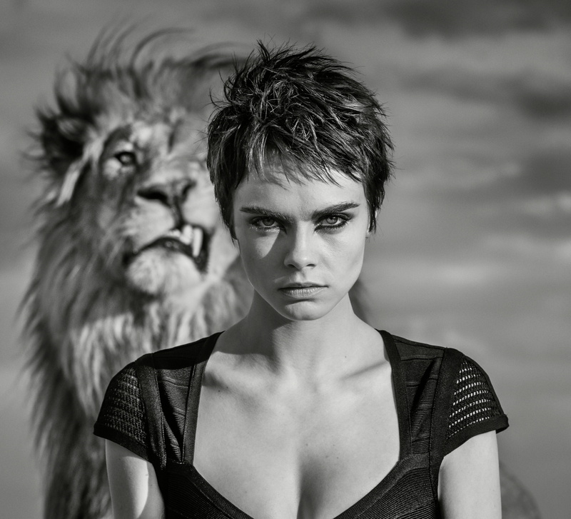 Cara Delevingne, English, Actress, 4K, Models, Short Hair, Model, Lion, Monochrome