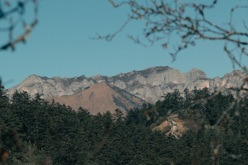 tranquility, coniferous tree, land, chengdu, plant, tranquil scene, mountain range, pine woodland, non-urban scene, mountain, sky, 5K, no people, pine tree