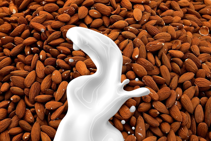 diet, seed, healthy food, organic, non dairy, healthy Eating, nut, snack, backgrounds, large group of objects, dairy product, food, drink, nut milk, freshness