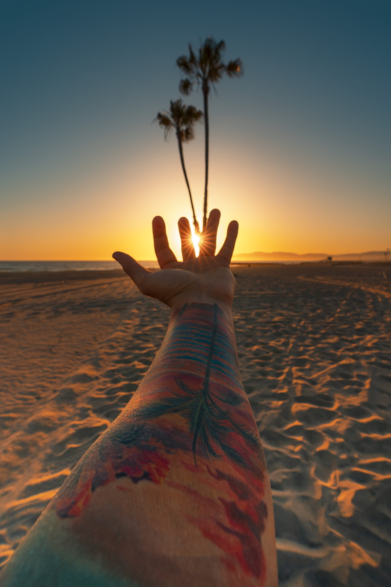 women, blue, flare, tropical Climate, tree, next, solitude, desert, vacations, landscape, horizon, beauty In Nature, scenics, sunrise, human Hand, summer