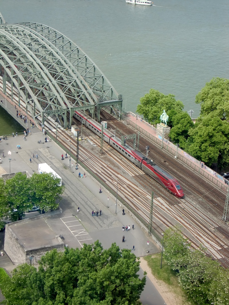 bridge - man made structure, tree, road, mode of transportation, cologne, day, architecture, railway, outdoors, metal, 2K, water, high angle view, arch