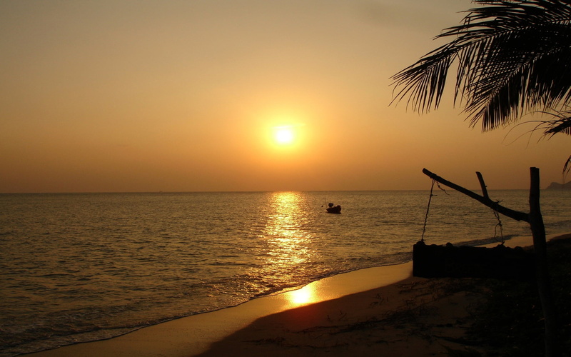Thailand, beauty in nature, beach, 1080P, sky, tropical climate, palm tree, idyllic, outdoors, tranquil scene, silhouette, landscape, water, tranquility