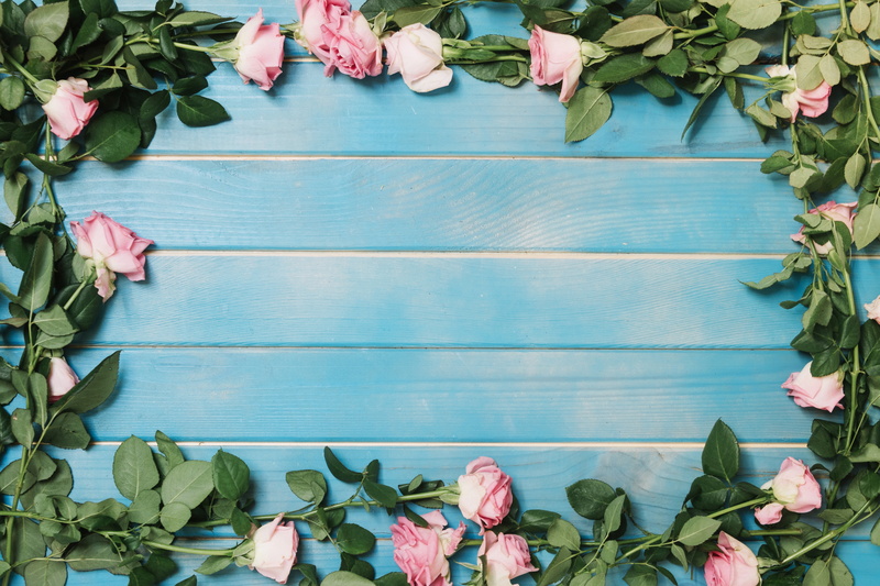 roses, colorful, 5K, pink, decoration, background, summer, wood, decor, blue, flowers, beauty