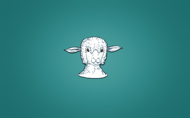 head, sheep, bluish background, minimalism, animal, 1080P, lamb