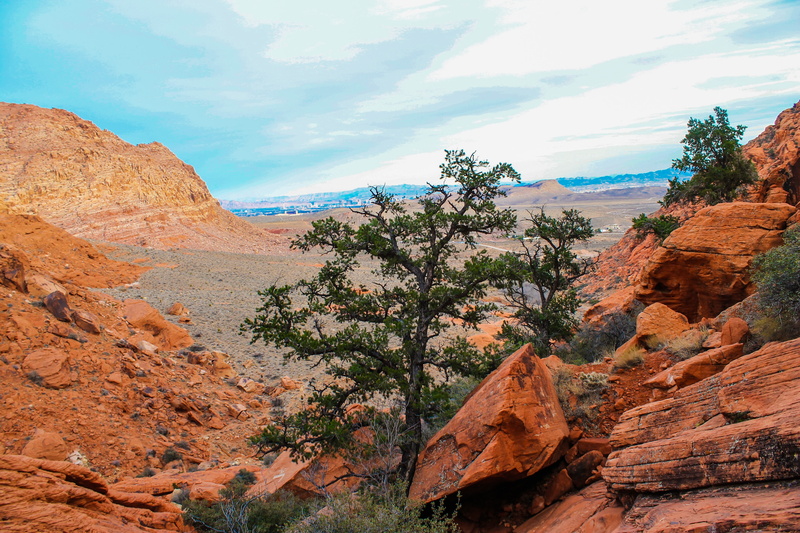 4K, usa, scenics - nature, structure, arid climate, land, west, natural, travel, mountain, sky, desert, america, tranquility, cloud - sky, no people, plant