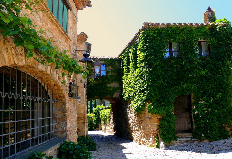 tree, nature, residential district, day, outdoors, brown, plant, stones, built structure, concrete, the door, the way forward, greens, architecture, building