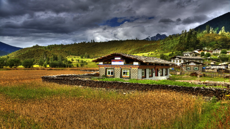 farm, architecture, crop, built structure, tibetan, land, rural scene, no people, building exterior, building, house, home, rural area, highland, tibet