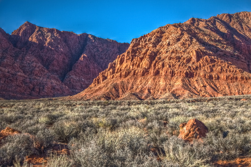 outdoors, landmark, nature, rock, geology, no people, scenics - nature, beauty in nature, canyons, tree, photography, environment, arid climate, rocky