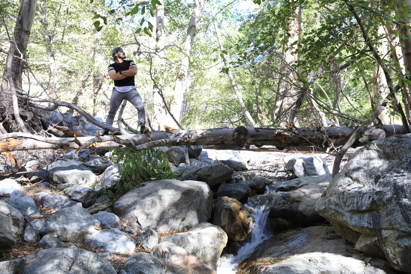 one person, lifestyles, rock, leisure activity, plant, adult, real people, solid, exploring, outdoors, trees, adventure, 5K, rock - object, young adult