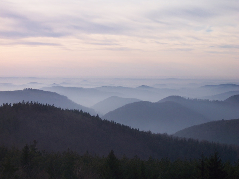 twilight, landscape, forest, alsace, mountain, france, non-urban scene, tranquility, nature, tranquil scene, tree, idyllic, plant, mountain range, environment