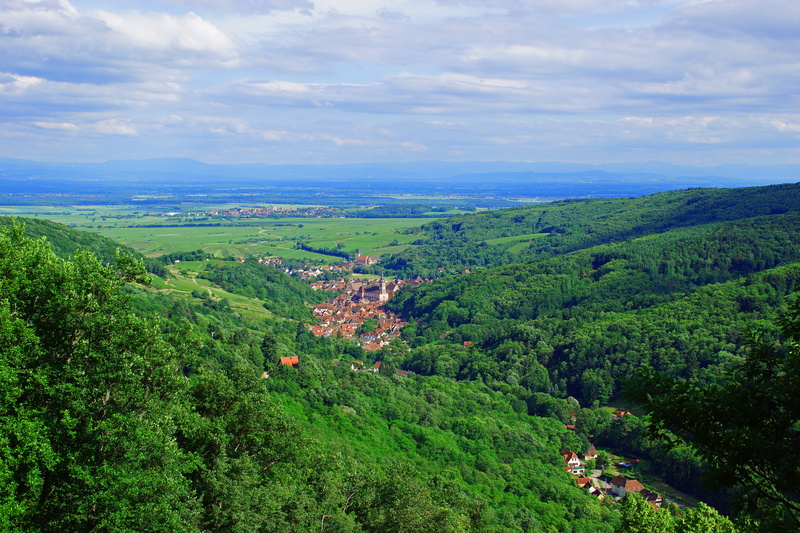 non-urban scene, france, alsace, beauty in nature, tranquil scene, no people, landscape, rolling landscape, tea crop, environment, plantation, lower rhine