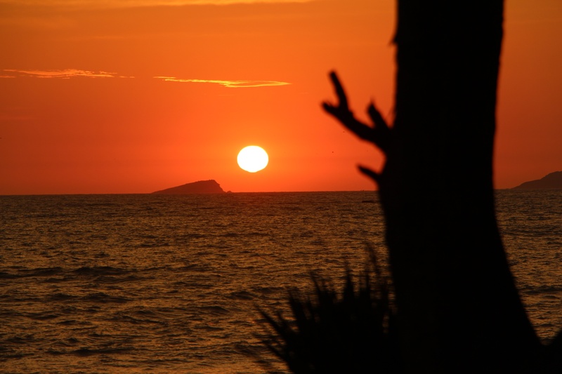silhouette, nature, orange color, morning, beauty in nature, scenics - nature, sea, holidays, sunlight, tranquil scene, dawn, sunset, tranquility, 2K