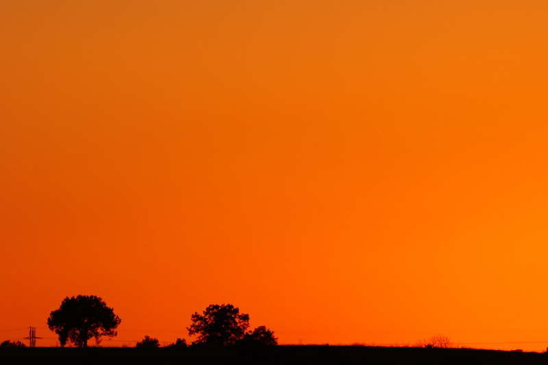 tranquility, scenics - nature, outdoors, sunset, against light, tlaxcala, idyllic, tranquil scene, orange, no people, 5K, tree, dusk, nature, growth, mexico