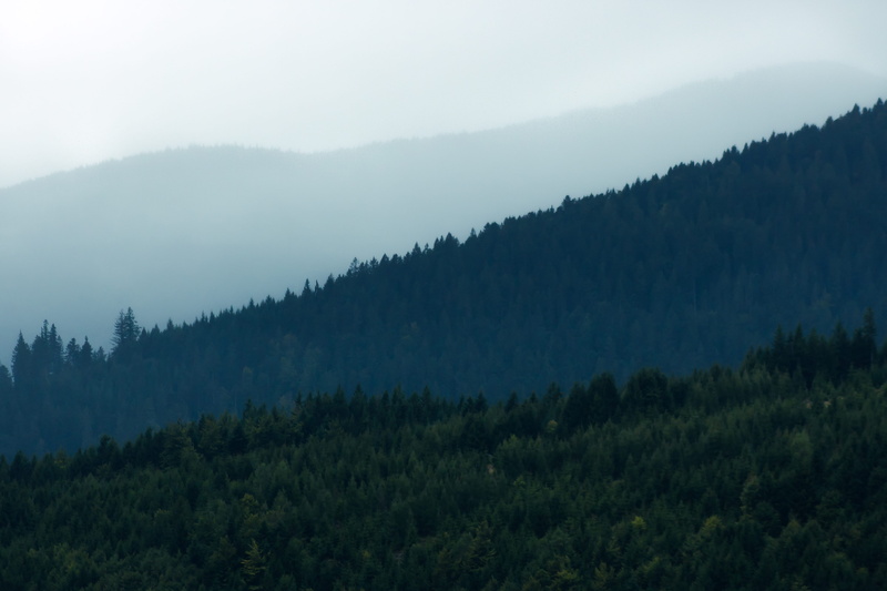 scenics - nature, france, tranquil scene, woodland, hiking, beauty in nature, tone, environment, hazy, 4K, green color, plant, forest, shades, layers