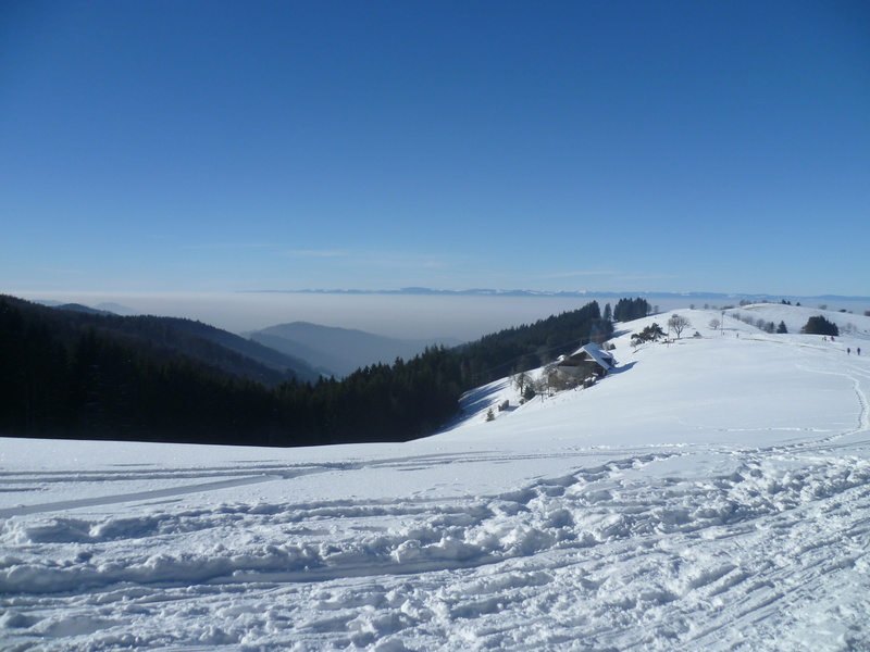 landscape, blue, copy space, clear sky, land, tranquility, cold temperature, non-urban scene, mountains, scenics - nature, mountain, sky, tree, black forest