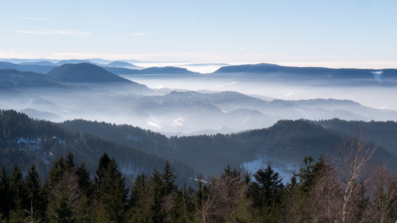 sun, mountain range, mountain, tranquility, outdoors, tranquil scene, non-urban scene, 4K, fogs, scenics, fog, mountain peak, vosges, sky, forest, white