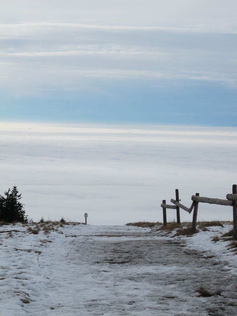 sea, views of the kandel, tranquil scene, mountain, the away, rest, day, beauty in nature, no people, snow, tranquility, the vosges mountains in the mist