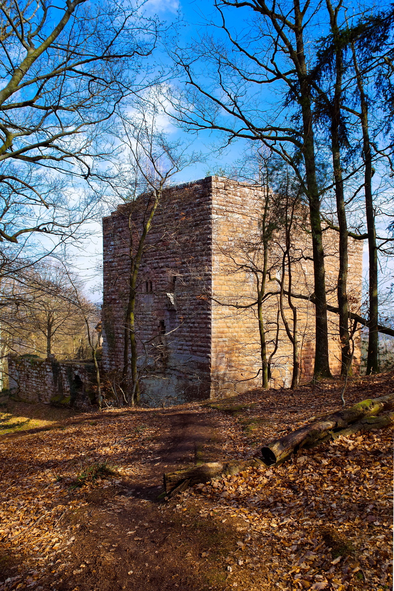 5K, pierre, branch, castle, History, sky, Architecture, trunk, vosges, building, old, wasenbourg, tree, Castle, bare tree, Ruin, building exterior, france