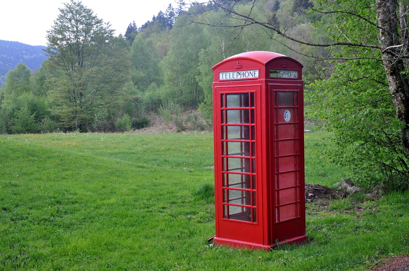 grass, convenience, nature, telephone booth, tree, global communications, 2K, connection, communication, pay phone, telecommunications equipment, technology