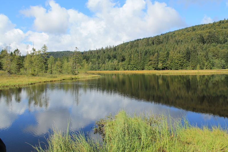 Lake, mountain, blue, Mirroring, hill, beautiful, non-urban scene, coniferous tree, reflection lake, alsace, quiet, beauty in nature, no people, plant
