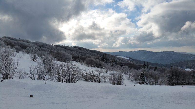 scenics - nature, snowcapped mountain, environment, vosges, snow, white color, tranquil scene, 5K, sky, day, non-urban scene, coniferous tree, winter