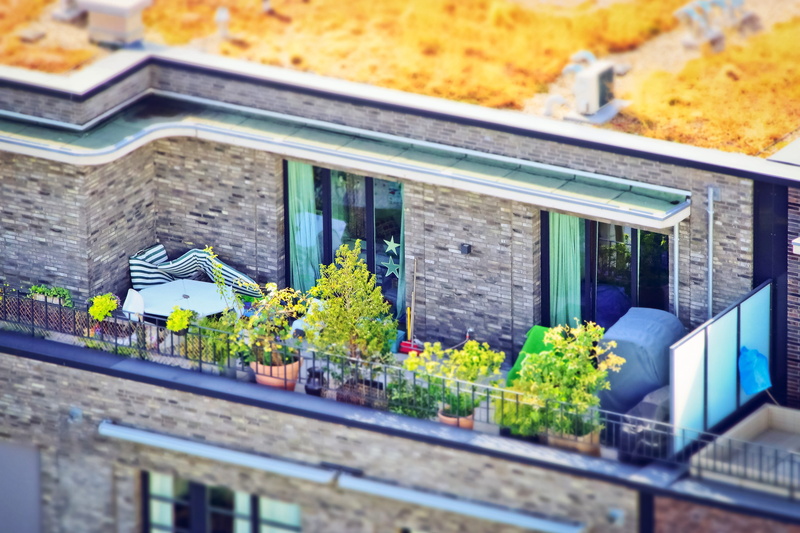 4K, growth, window, glass - material, facade, roof terrace, live, selective focus, design, house, house facade, miniature effect, day, düsseldorf, urban