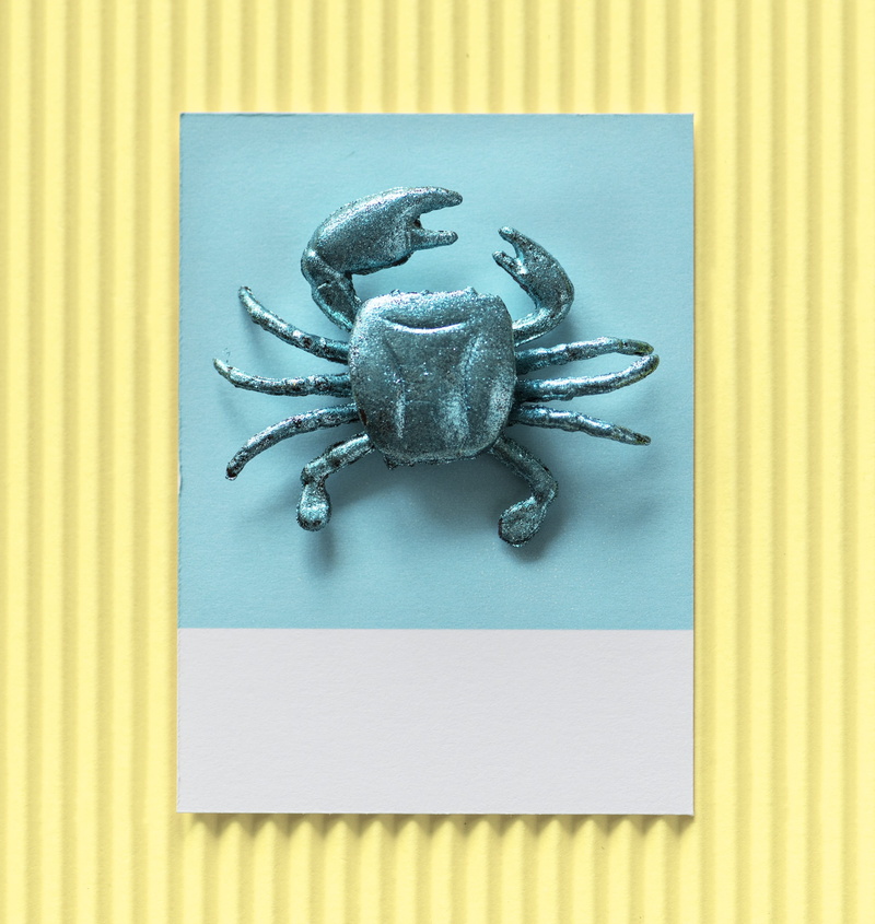 indoors, effect, table, green, disco, animal wildlife, glitter, festive, representation, background, creative, food and drink, colored background, invertebrate