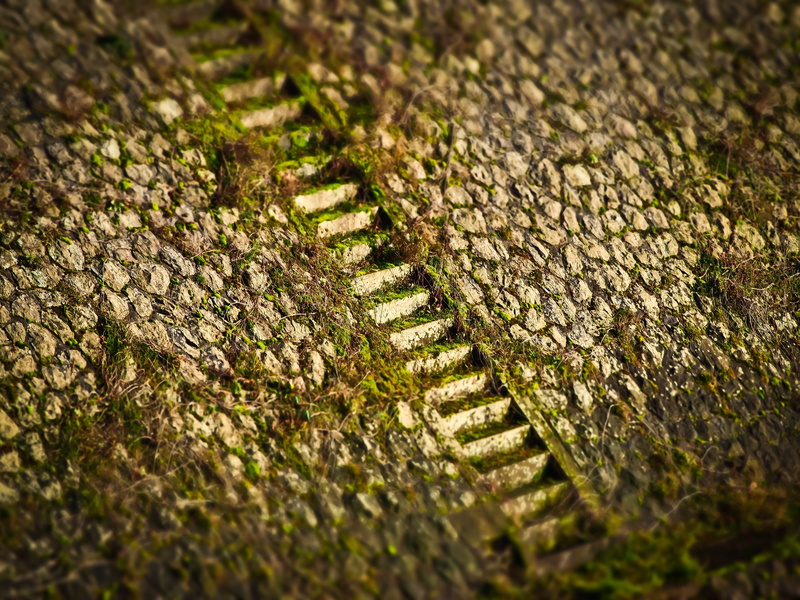 tilt shift, surface level, staircase, day, solid, pattern, moss, plant, miniature effect, bank, full frame, selective focus, textured, 4K, stairs, no people