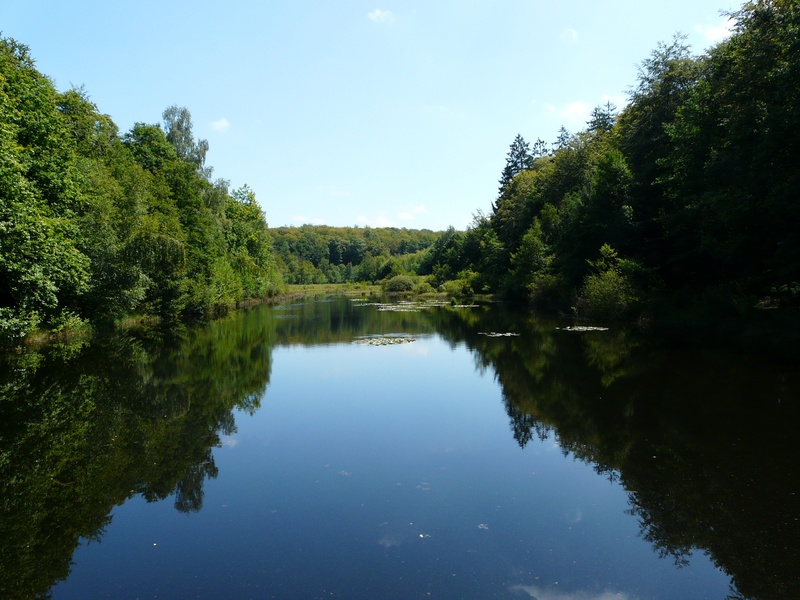 reflection lake, nature, plant, scenics - nature, tree, sky, 2K, growth, pond, vosges, trees, lake, outdoors, landscape, non-urban scene, reflection, idyllic