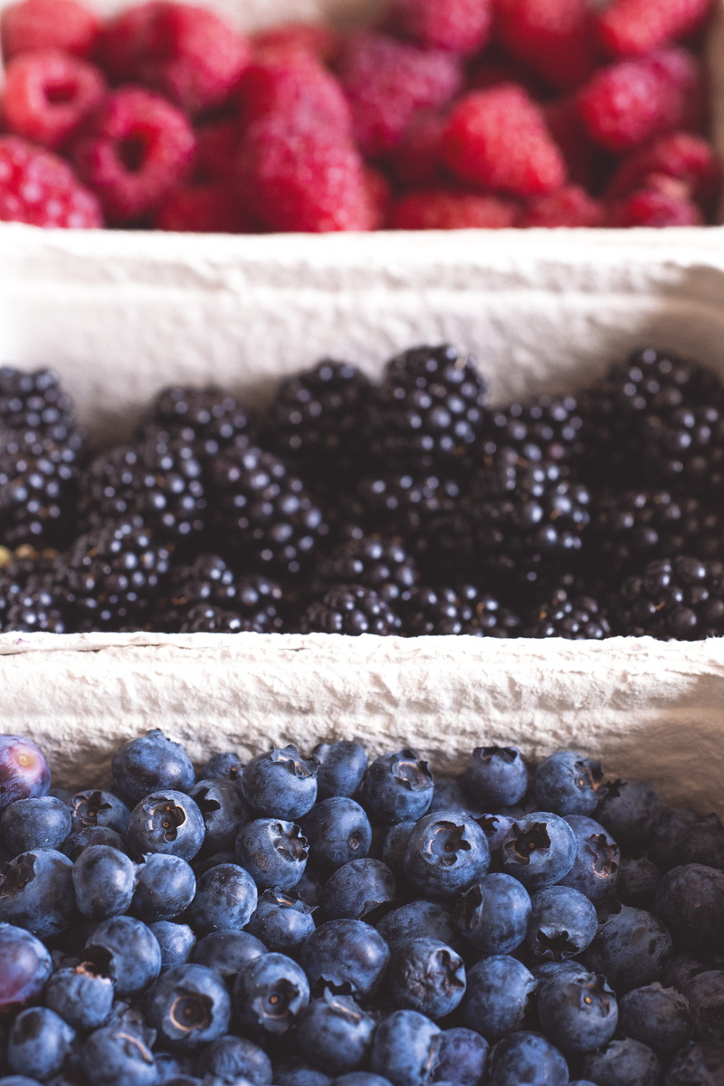 healthy, no people, freshness, bowl, temptation, organic, high angle view, healthy eating, 5K, food, wellbeing, blueberries, juicy, choice, fruits, blackberries