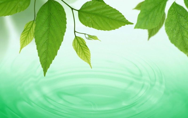 spring, Leaves, Waves, HD, 2K, circles, background, full screen, widescreen, green, macro, fullscreen, water