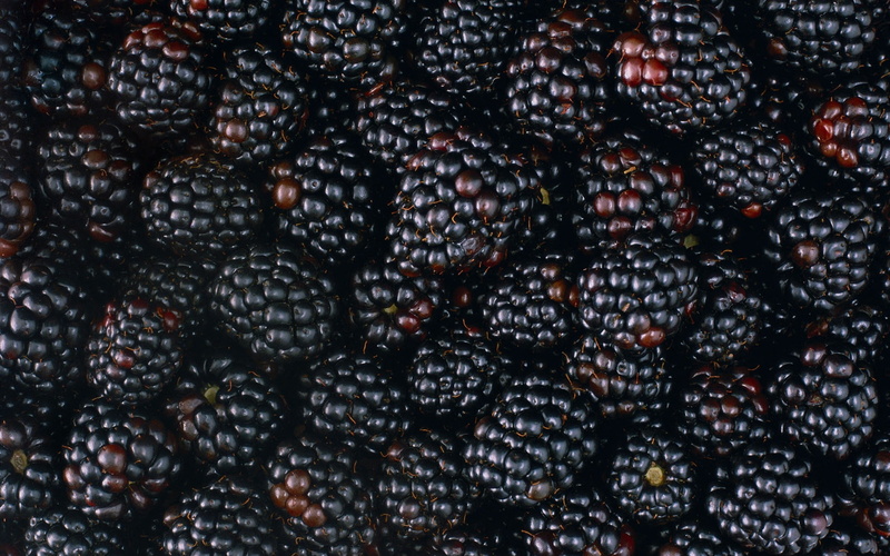 blackberries, 1080P, tasty, fruits