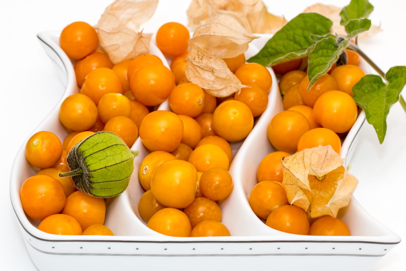 wellbeing, ripe, bladder cherry, vitamin, healthy eating, orange - fruit, nutrition, yellow, vegan, tomato, detox, studio shot, large group of objects