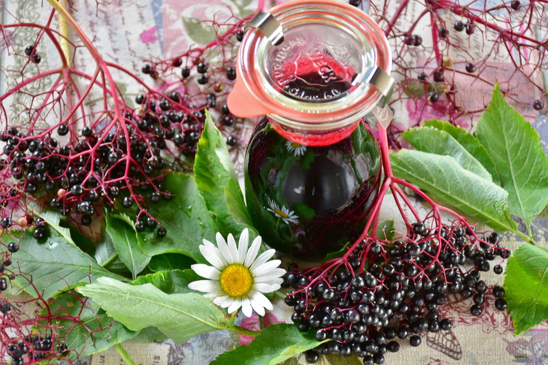 white, black elderberry, scrub, 5K, pink color, lilac berries, jar, flower arrangement, bless you, bush, holder, black, beauty in nature, fragility, autumn