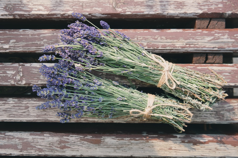 outdoors, cleaning, purple flowers, table, bundled, bluish, no people, food, wildflowers, tied up, 5K, dry, still life, lavender, stack, flowers, day