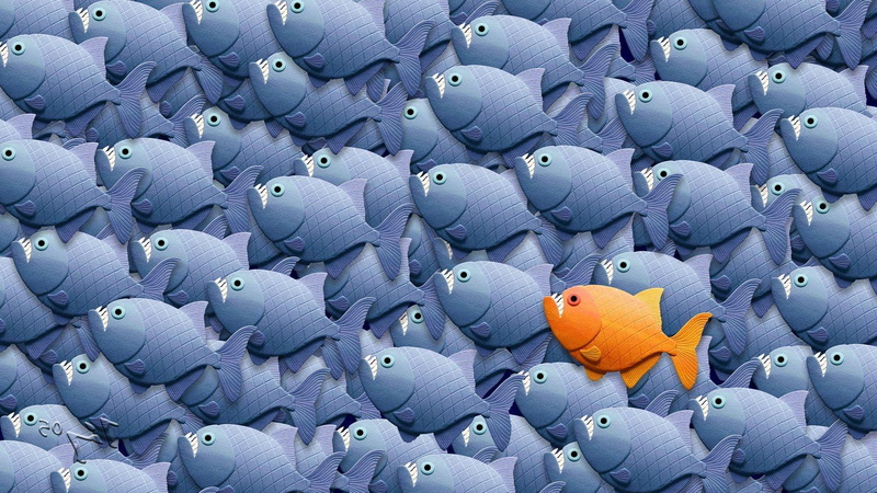 piranha, stand, 720P, 1600x900