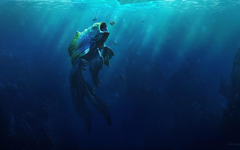 piranha, goldfish, 1080P