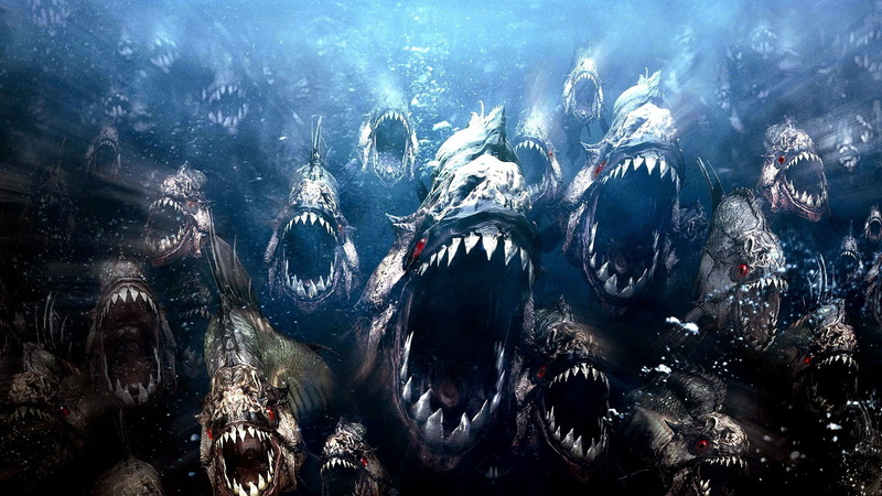 no people, vertebrate, fish, piranha 3d, large group of animals, underwater diving, animal wildlife, animal themes, group of animals, day, sea, outdoors