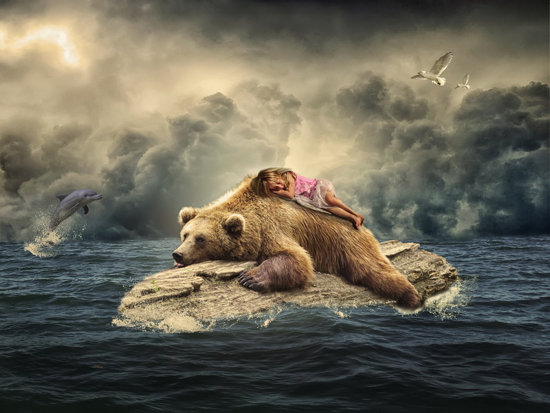 Dolphin, 1080P, Rock, Bear, Cloud, Manipulation, Ocean, Little Girl, Photography, Artistic