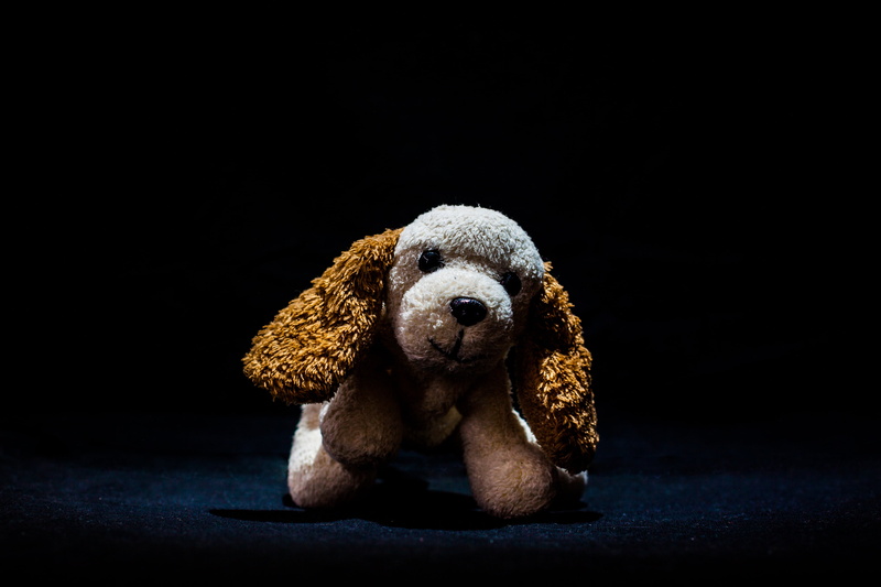 stuffed, crime, cuddly, emotion, little, 4K, soft, fluffy, fur, adorable, studio shot, animal, cute, social issues, no people, single object, childhood