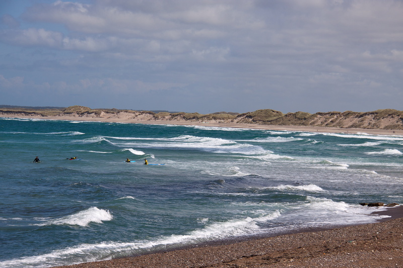 animals in the wild, cloudscape, waves, 4K, denmark, day, outdoors, sea, nature, animal themes, jutland, bird, vertebrate, beach, water, land, scenics - nature