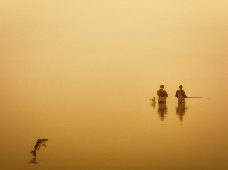 waterfront, lake, fishing, water, beauty in nature, 2K, sky, silhouette, fishing lines, men, copy space, reflection, fish, group of people, fog, humor