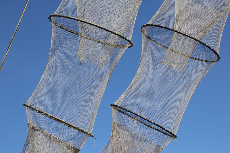 blue, sport, built structure, nature, clear sky, fish, Fisheries, 5K, clothing, day, no people, close-up, blue background, outdoors, net - sports equipment