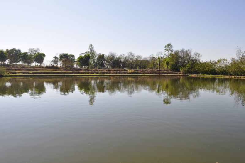 Lake, water, scenics - nature, brazil, Fishing Boat, fisher, no people, nature, tree, outdoors, day, fish brazil, sky, pool, fishing, copy space, clear sky