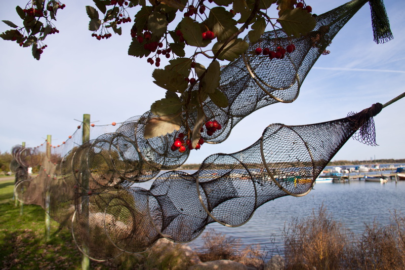 outdoors, Traps, fishing industry, denmark, growth, no people, maritime, branch, sums, food, Hvidovre, tree, sea, Eal, day, food and drink, leaf, Fishery