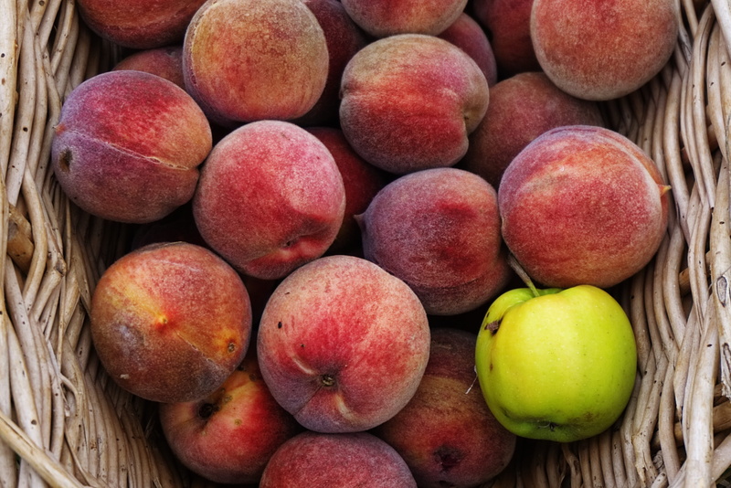 garden, fisheries, close-up, freshness, healthy eating, still life, power, peach, food, red, container, ripe, fruit, day, wellbeing, no people, wood - material