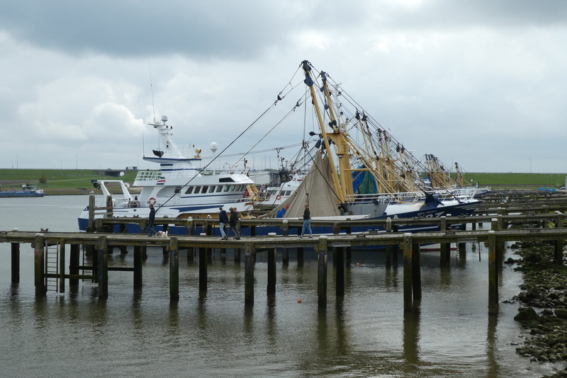 water, no people, craft, nature, fisheries, day, waterfront, fishing boats, sky, outdoors, sea, 2K, port, mode of transportation, built structure, transportation